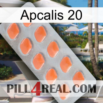 Apcalis 20 26